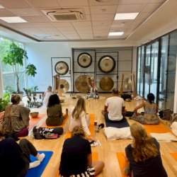 Birmingham - Two Day Intensive Gong Course
