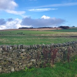 Guided Walk: Ughill Farm 9.30am-12pm, (7km distance)