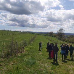 Building a wildlife corridor