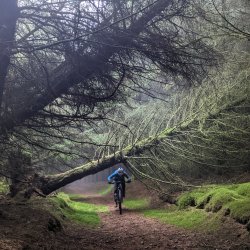 Glentress MTB Ride
