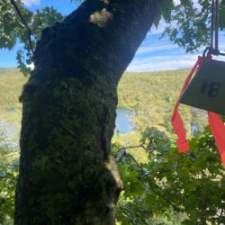View of the Lake - Get that Bell