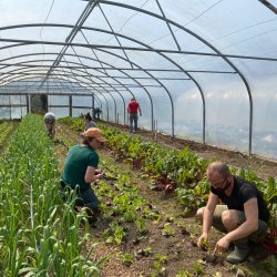 Grow Your Own CSA course