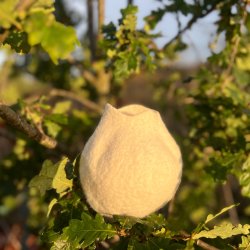Winter White Wet Felted Vase