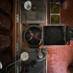 Harvest: From Grape to Glass - DATE TBC