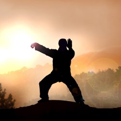 TaiChi &QiGong w/Sabine: trial