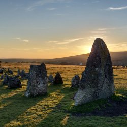 Walk in the Wild Dartmoor