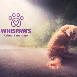 Whispaws annual charity event 2026