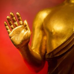 Introduction to Buddhism & Meditation Course