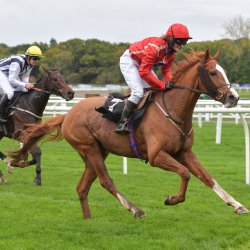 Two horses and their riders, racing to the finish line