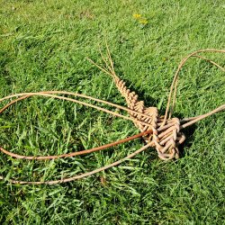 Woodcraft for Wellbeing - Willow Dragonfly Weaving