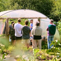 Queer Sheds Winter Hedge School