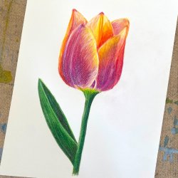 Drawing for the Terrified Beginner - In Person