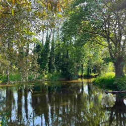 Seasonal Foraging in Yorkshire