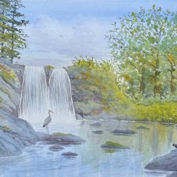 Watercolours with John Horton