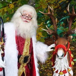 Festive Grotto at Edinburgh Zoo