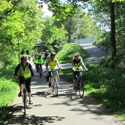 Picture of people cycling on a lane with no traffic