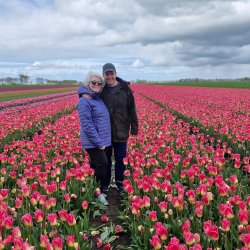 Tulip Fields Tour