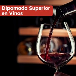 Diplomado Superior en Vinos