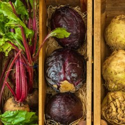 Taking Root: Building the Food & Farming Funders Group Together
