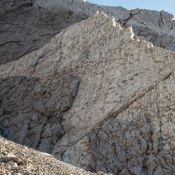 Escursione guidata: Trekking sulle tracce dei dinosauri