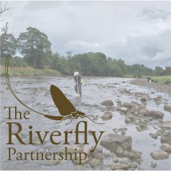 Riverfly Partnership Training: Online & Practical