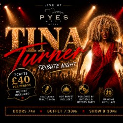 Tina Turner Tribute Night