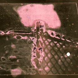 T32. Experimental Chemigram Animation with Irina Chernikova