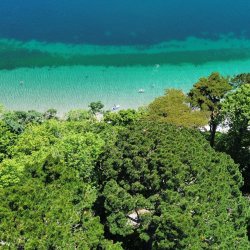 Helford River swim