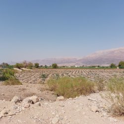 Safi from the West