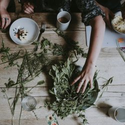 Herbalism and Medicine Making Day with Elena Tornberg-Lennox