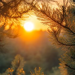 Core Wound Healing Online Workshop