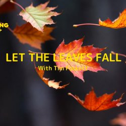 Let The Leaves Fall