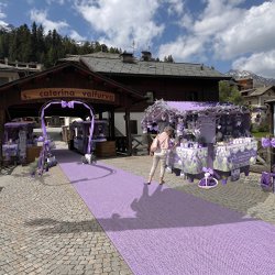 Lavanda del lago