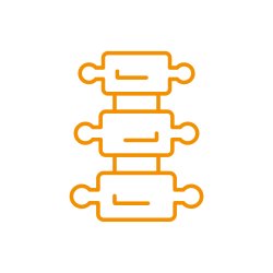 Spinal Network logo featuring a 3 vertebra spine in orange