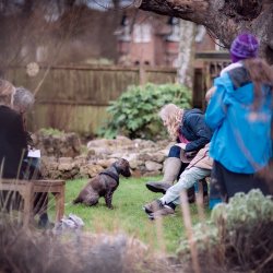 An Introduction To Animal Communication