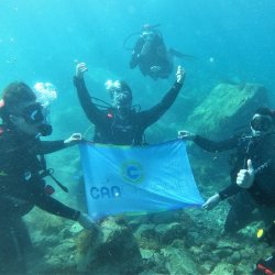 Scuba Diving and PADI Course