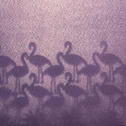 T14. Anthotypes with Dietlinde DuPlessis