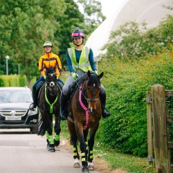 Safer Riders, Drivers, Horses