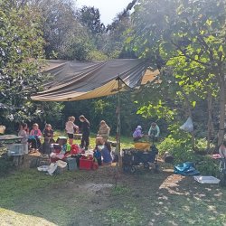 Forest School Themed Summer Camp 1 2026