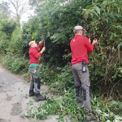 Central Park Practical work