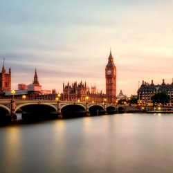 Developing a political CV. Gold level session for a small group only