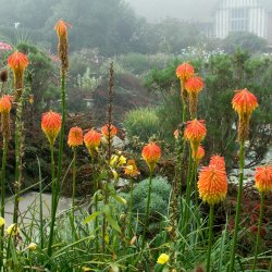 Behind the scenes at Great Dixter - October
