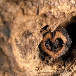 Residential retreat: Grounding the heart