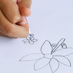 Nature's Hidden Patterns: A family workshop