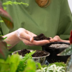 Mossarium Workshop