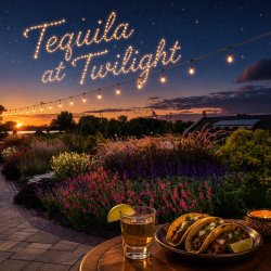 Sunset Series: Tequila at Twilight