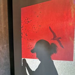 silouette with seagull