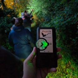 Meath Novice Bat Recorder Training Course (Evening Field & Classroom Sessions) - Meath