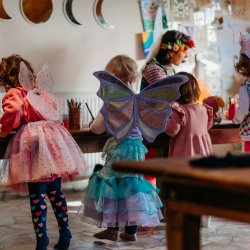 Birthday Party in Fairy Tara's Enchanted Treehouse (Pre School Weekdays 1hr Packages)