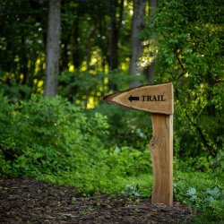 Common Ground Series: Edible Invasives